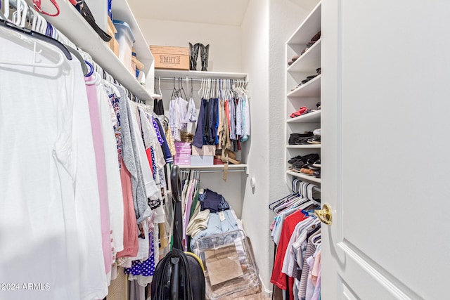 view of walk in closet