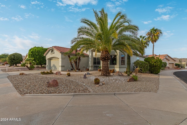 view of front of house with a garage