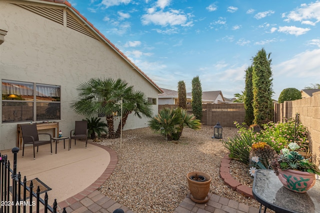 view of yard featuring a patio