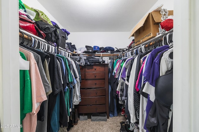 walk in closet with carpet