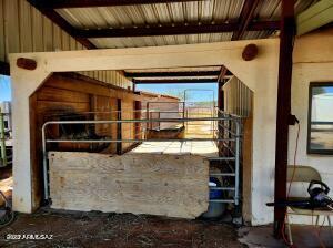 view of stable