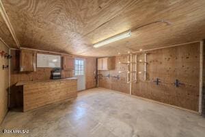 basement featuring wooden ceiling and wooden walls