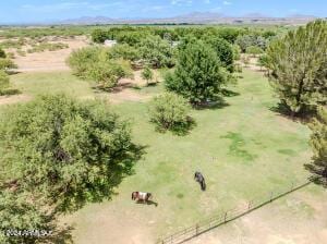 bird's eye view