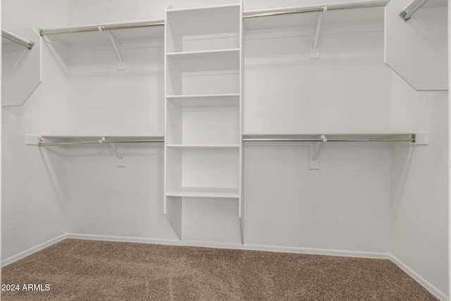 walk in closet with carpet floors