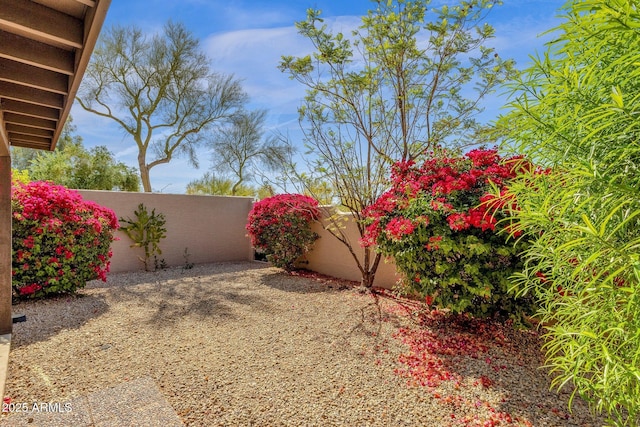 11775 E Becker Ln, Scottsdale, AZ 85259 - view of fenced backyard