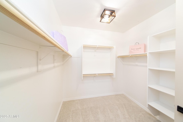 spacious closet with carpet