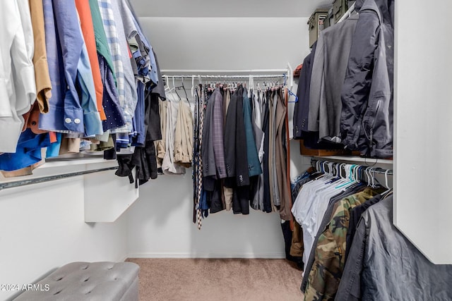 walk in closet with carpet floors