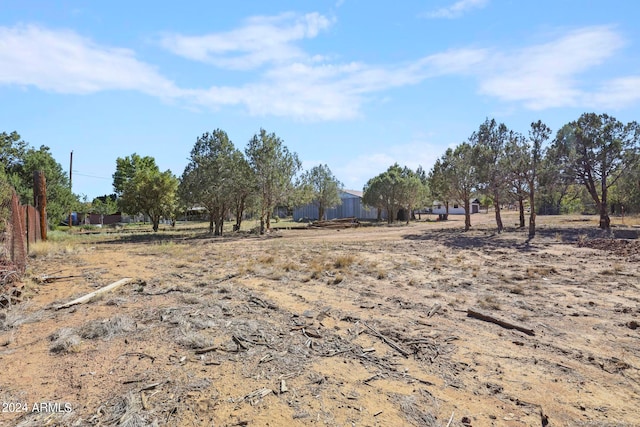 view of yard with a rural view