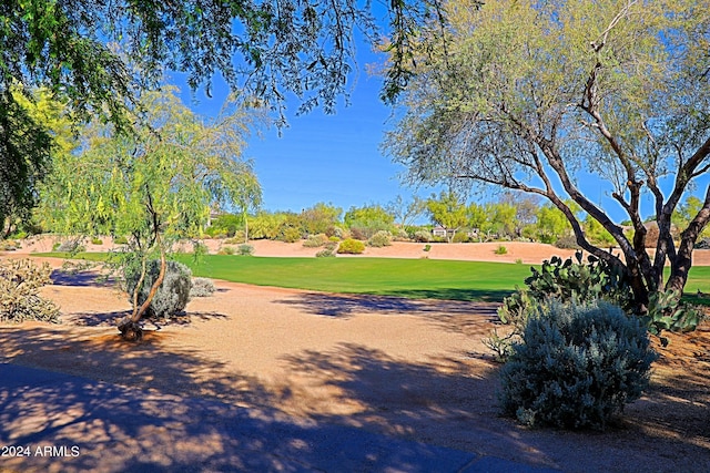 view of property's community featuring a lawn