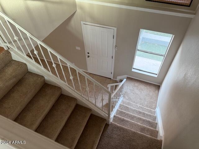 stairway with carpet