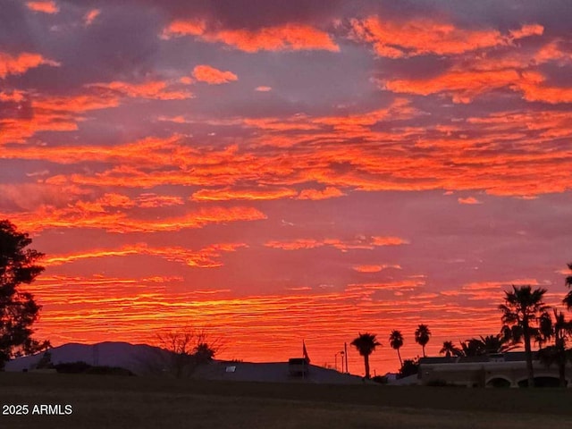 view of nature at dusk