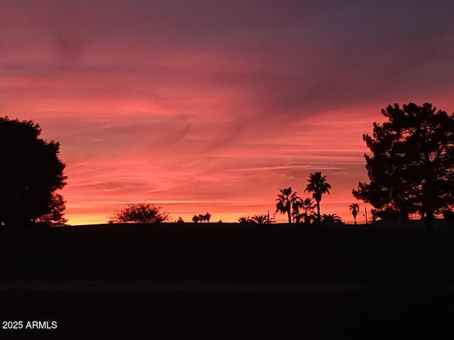 view of nature at dusk