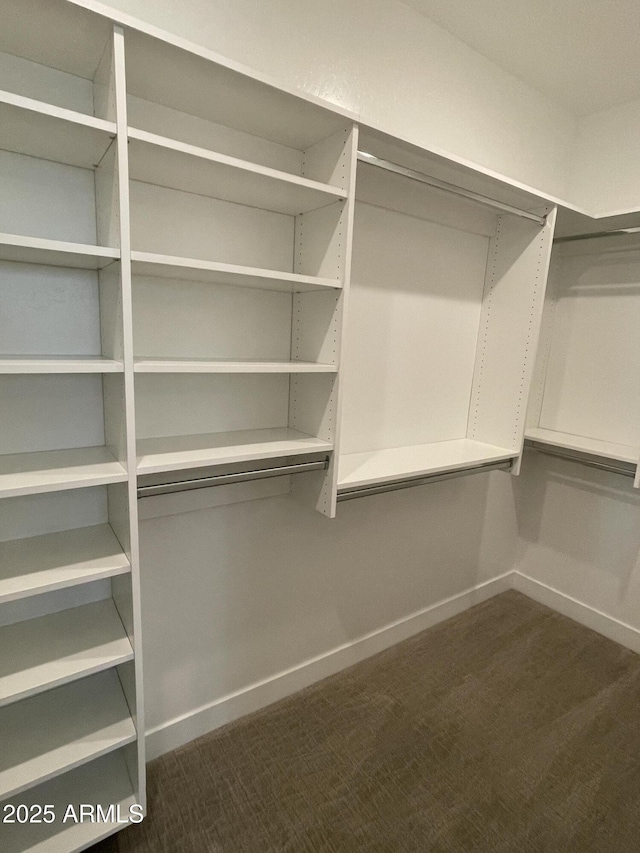 1840 S Follett Way, Gilbert, AZ 85295 - spacious closet with dark colored carpet