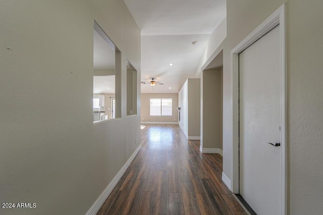 hallway featuring dark hardwood / wood-style flooring