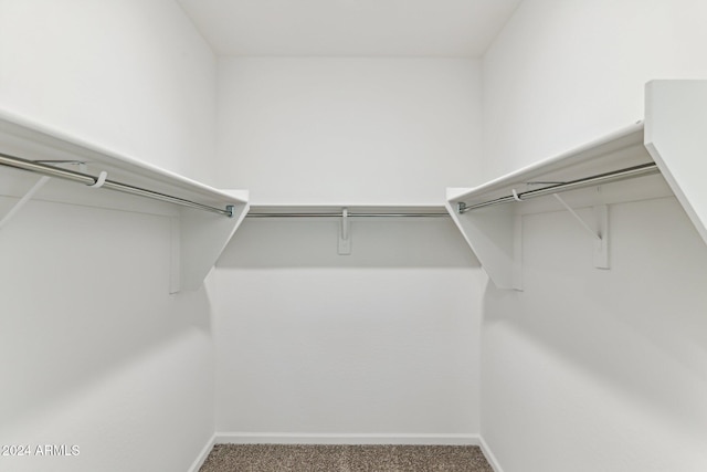 spacious closet with carpet flooring