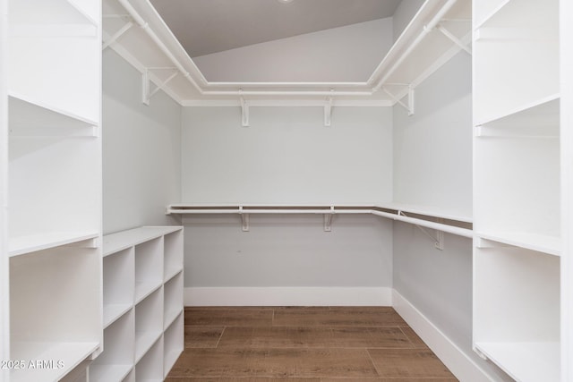 walk in closet with wood finished floors