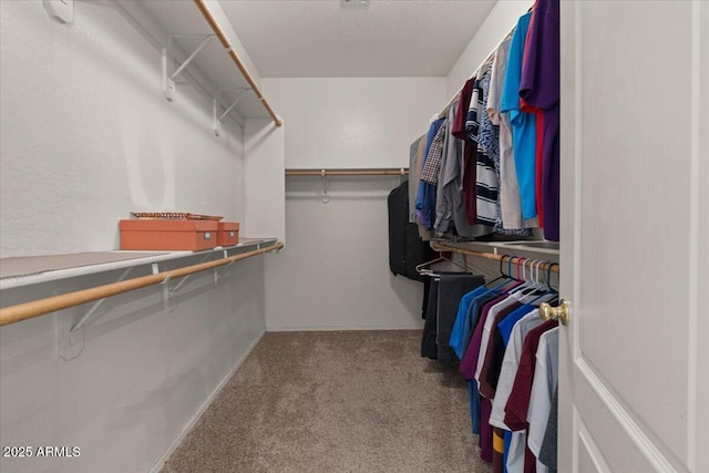 8237 W Alex Ave, Peoria, AZ 85382 - walk in closet featuring carpet floors