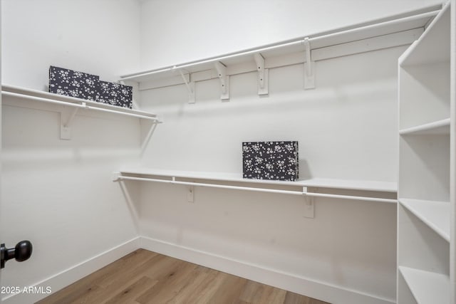 1029 E Ian Dr, Phoenix, AZ 85042 - spacious closet with light wood-type flooring