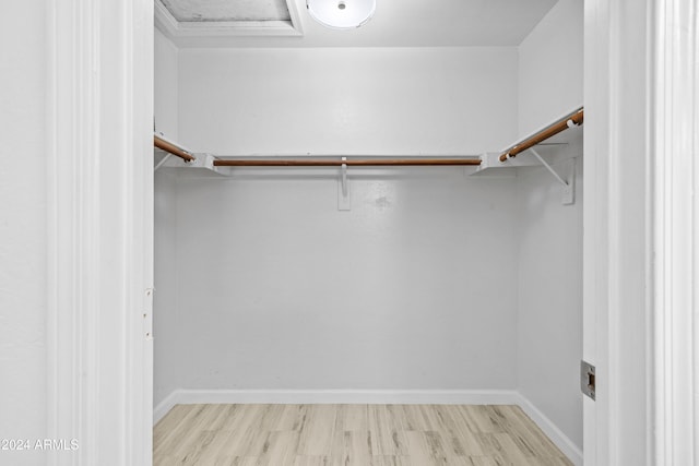 spacious closet featuring light wood-type flooring