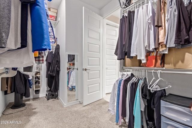 spacious closet featuring carpet