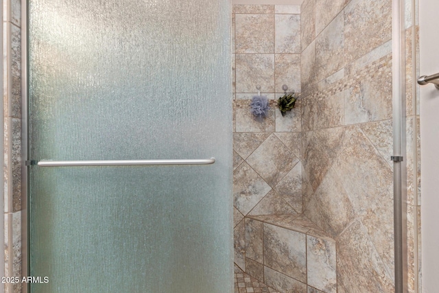 interior details featuring tiled shower