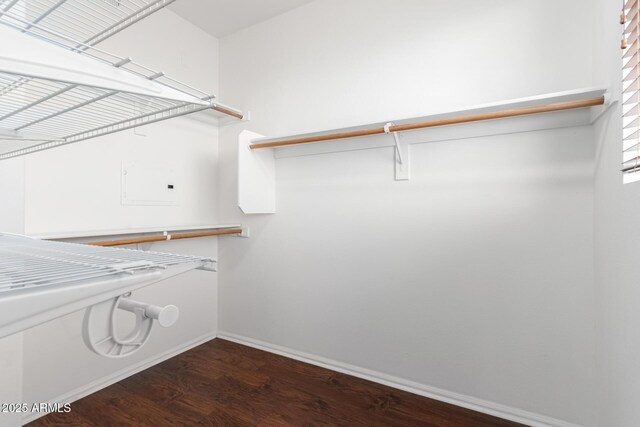 spacious closet with dark wood-style flooring