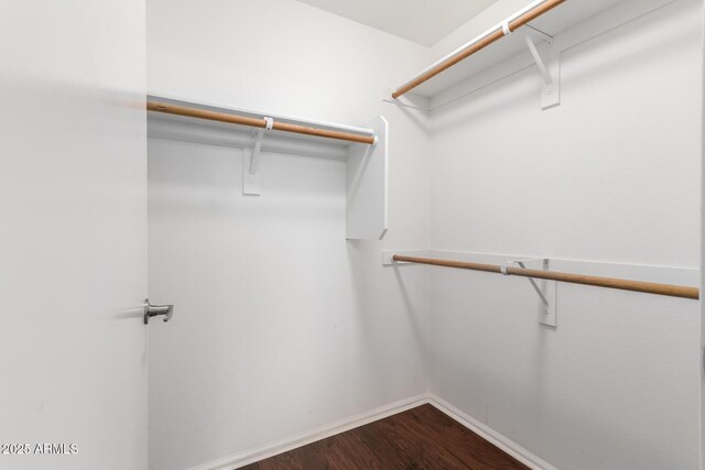 walk in closet featuring wood finished floors