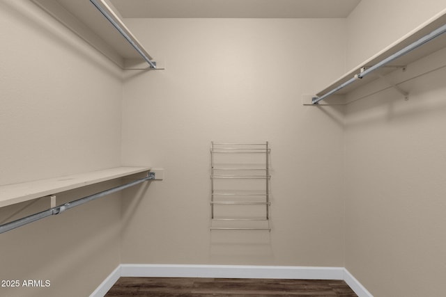 walk in closet featuring dark wood-style floors