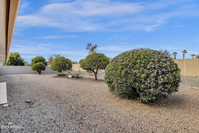 view of yard featuring a fenced backyard