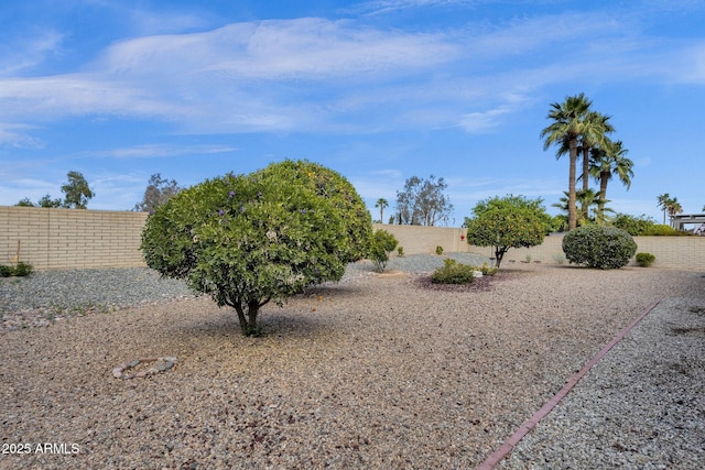 view of yard featuring a fenced backyard