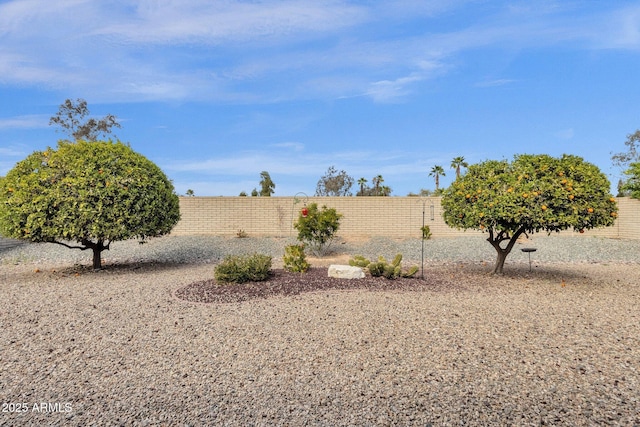 view of yard featuring fence