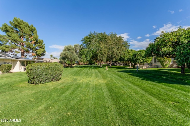 view of property's community featuring a yard