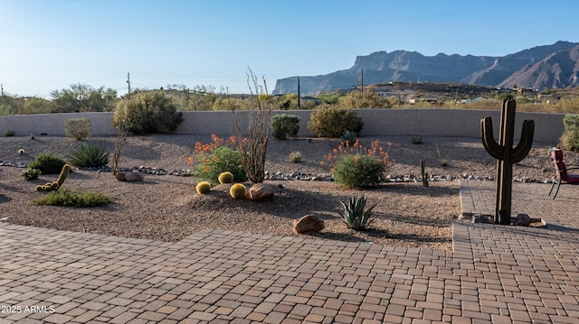 9864 E Baseline Ave, Gold Canyon, AZ 85118 - fenced backyard featuring a mountain view and a patio area