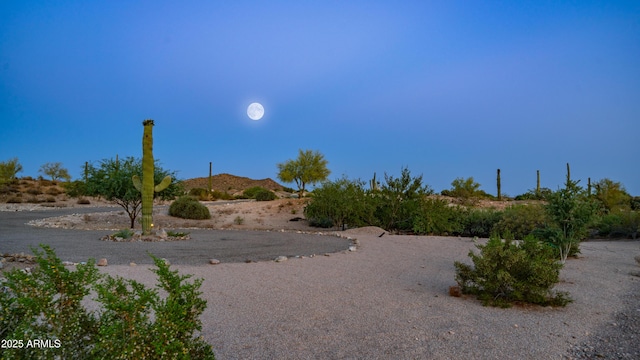 9864 E Baseline Ave, Gold Canyon, AZ 85118 - view of yard