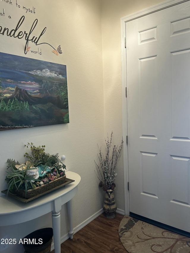 bathroom with hardwood / wood-style flooring