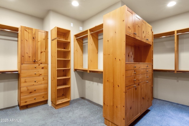 9980 E Charter Oak Rd, Scottsdale, AZ 85260 - walk in closet with light colored carpet
