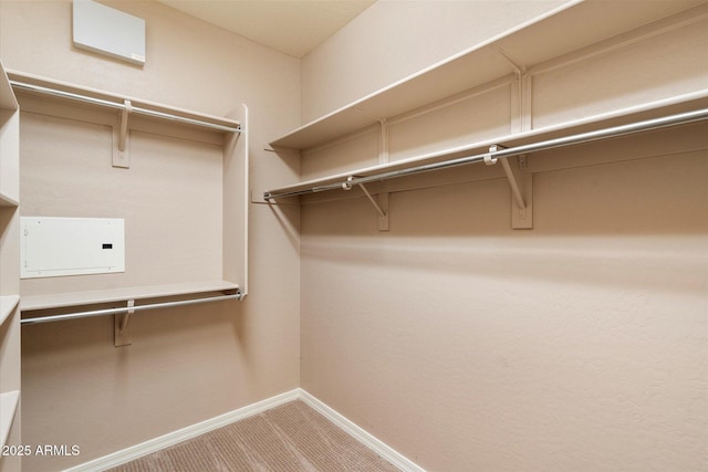 spacious closet with light carpet