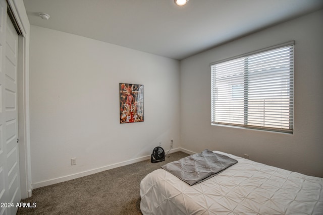 bedroom with a closet and light carpet