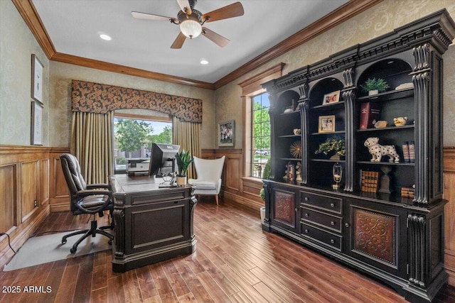 office space with a wainscoted wall, ornamental molding, ceiling fan, and wood finished floors