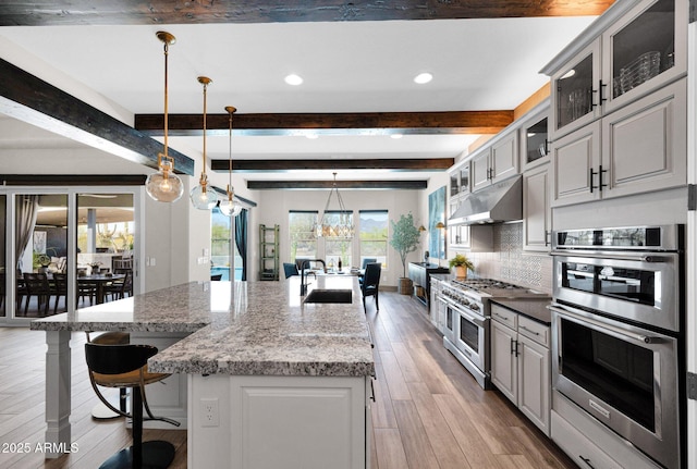 kitchen with appliances with stainless steel finishes, under cabinet range hood, light wood-style floors, a kitchen breakfast bar, and a large island with sink