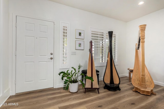 foyer entrance with hardwood / wood-style floors