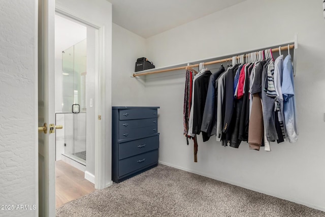 spacious closet featuring light colored carpet