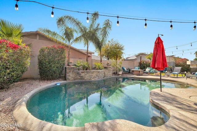 view of swimming pool with a patio