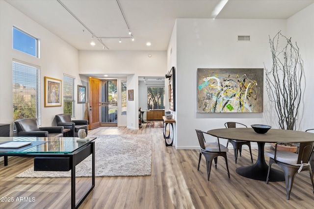 living room with hardwood / wood-style flooring and track lighting