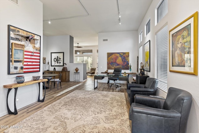 living room with rail lighting, hardwood / wood-style flooring, and plenty of natural light