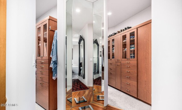 spacious closet with carpet flooring