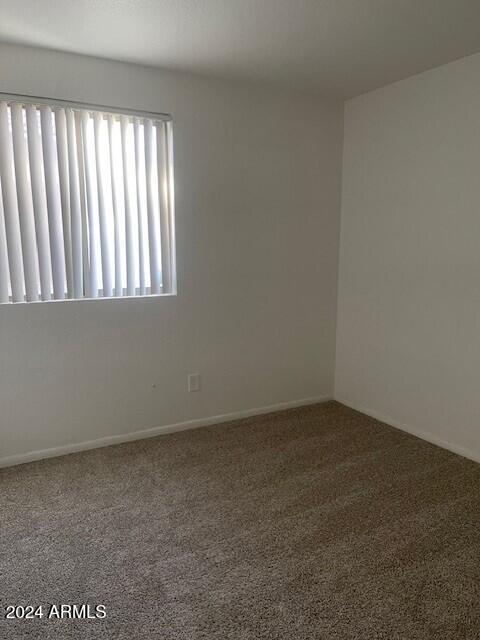 spare room with carpet flooring