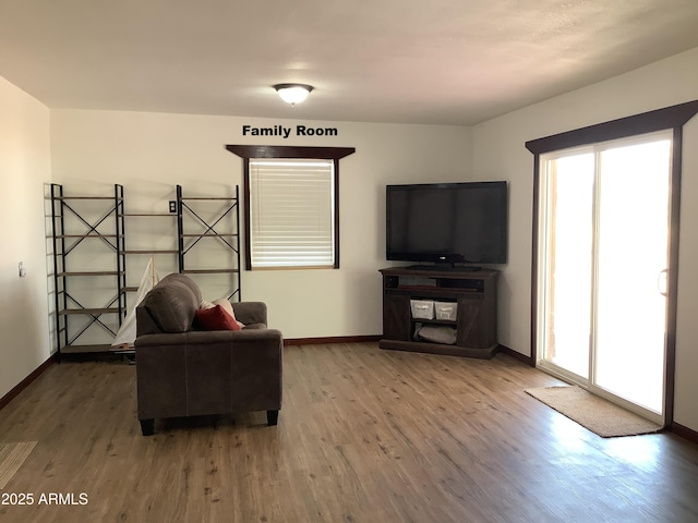 3607 E Mule Deer Rd, Pearce, AZ 85625 - sitting room with plenty of natural light and wood finished floors