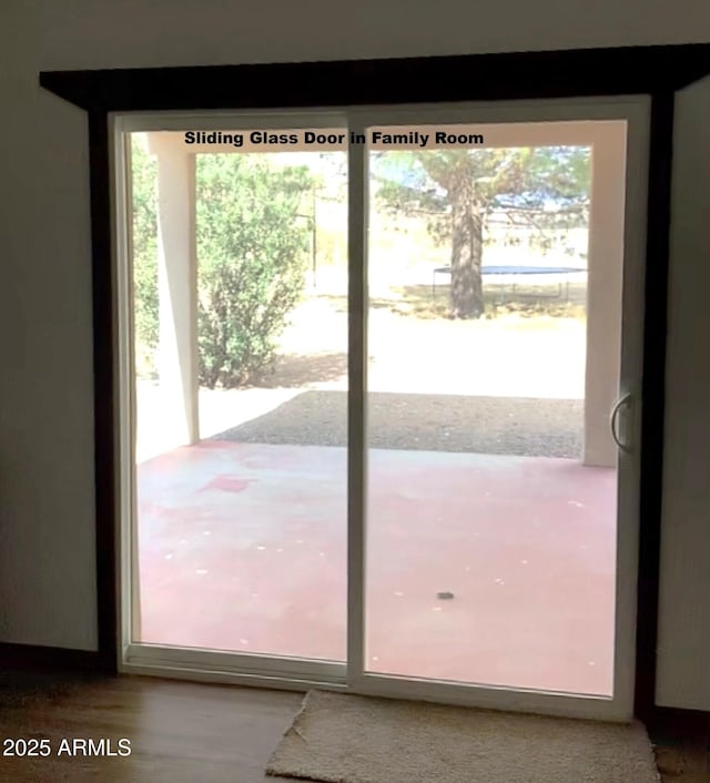 3607 E Mule Deer Rd, Pearce, AZ 85625 - doorway featuring plenty of natural light