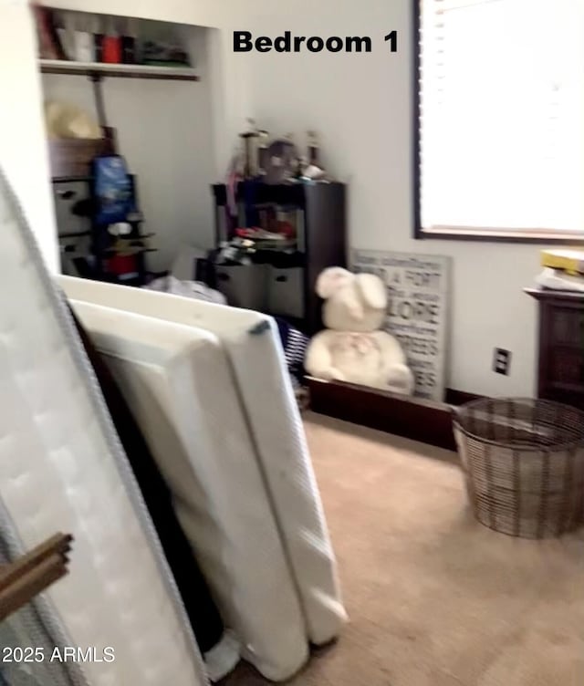 3607 E Mule Deer Rd, Pearce, AZ 85625 - interior space featuring carpet floors